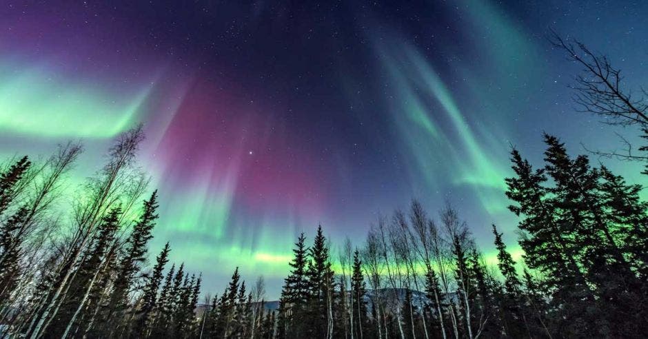 Auroras boreales de color verde agua