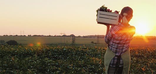 Una agricultora recoge sus productos.