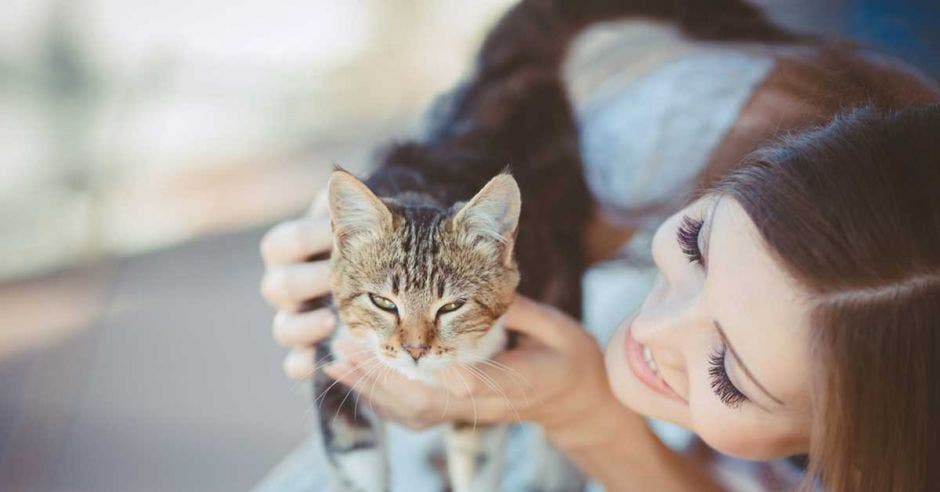 Una mujer acaricia un gato