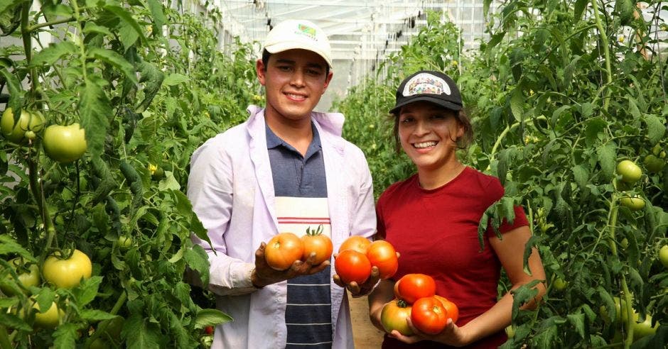 Jóvenes con unos tomates