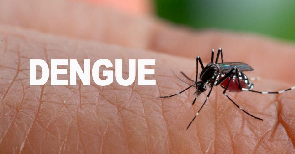 Una mano con un mosquito y la palabra dengue