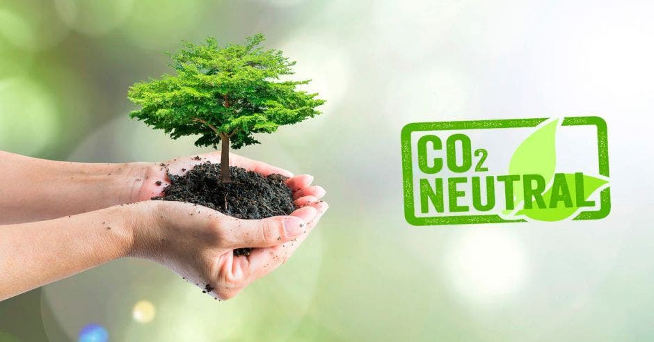 persona sosteniendo  un árbol entre las manos y la palabra Carbono  neutrale33