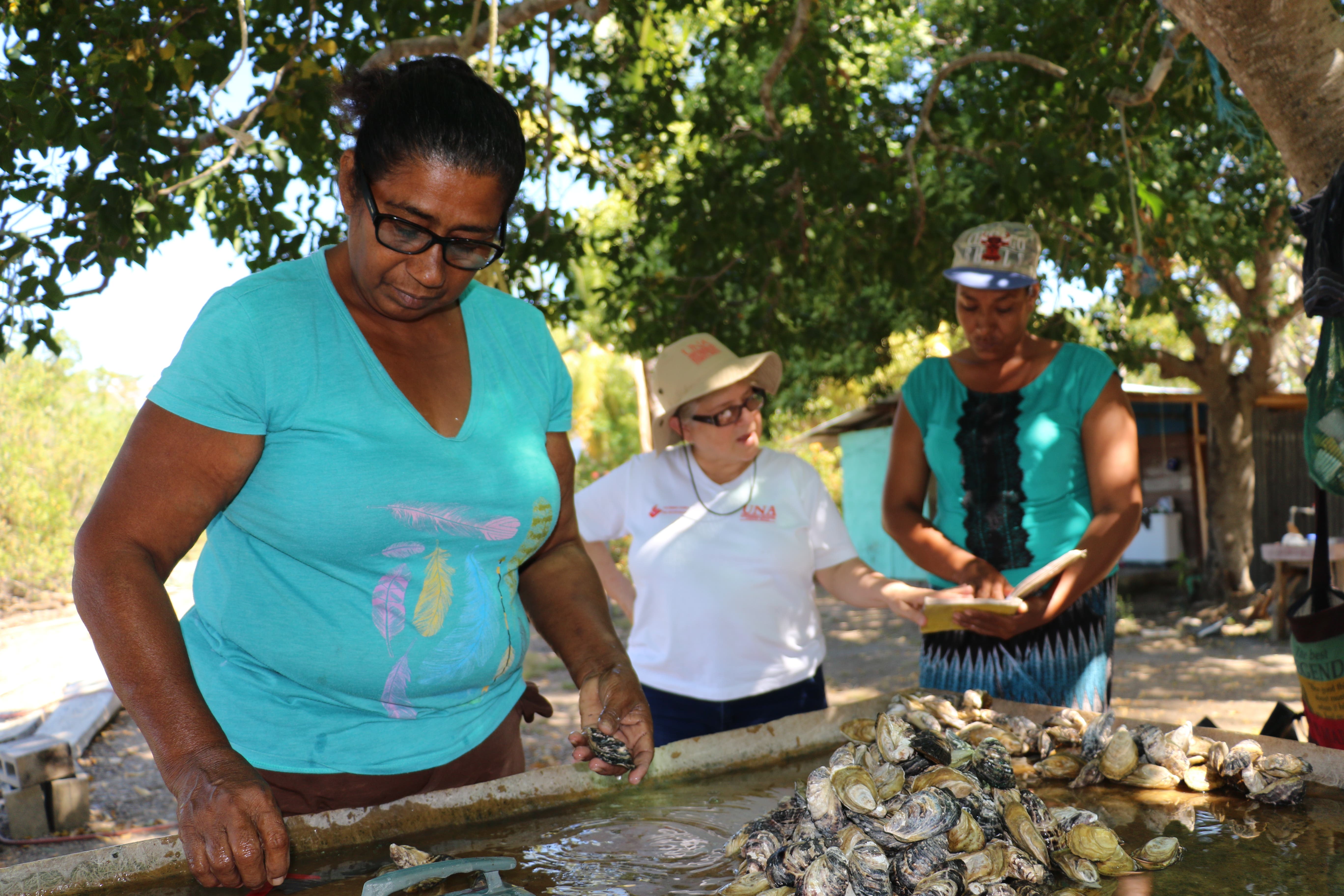 Tres mujeres en el proyecto de ostras