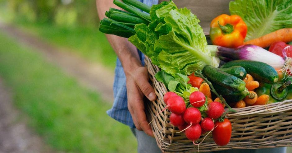 Frutas y verduras en un canasto