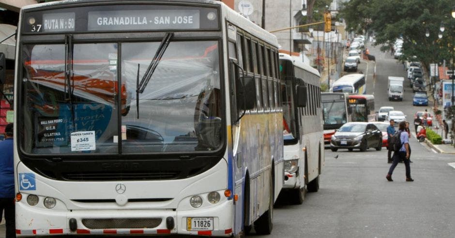 Una fila de buses en la avenida central