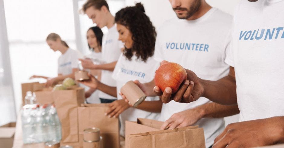 voluntarios