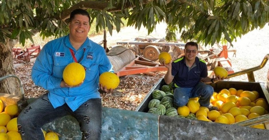 personas con frutas en la  mano