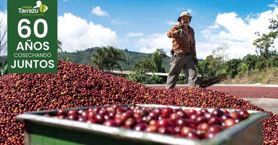 Coopetarrazú