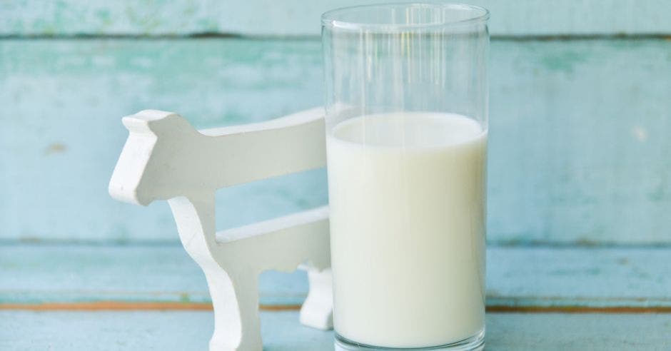 vaso  de leche y una vaca de madera al lado