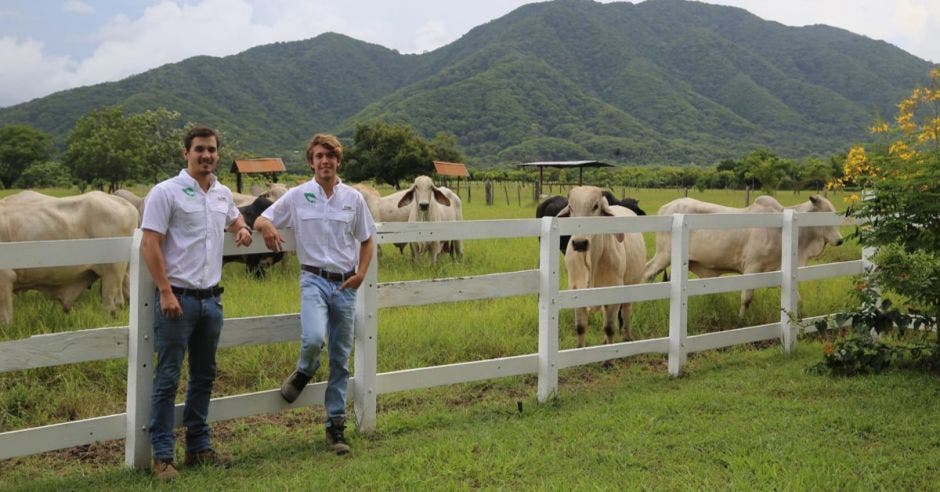 Jóvenes en finca