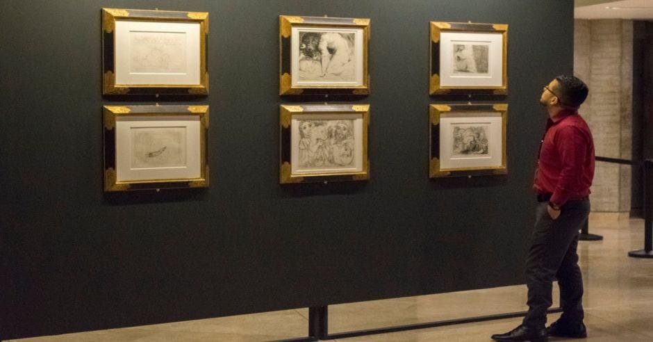 Exposición de Picasso