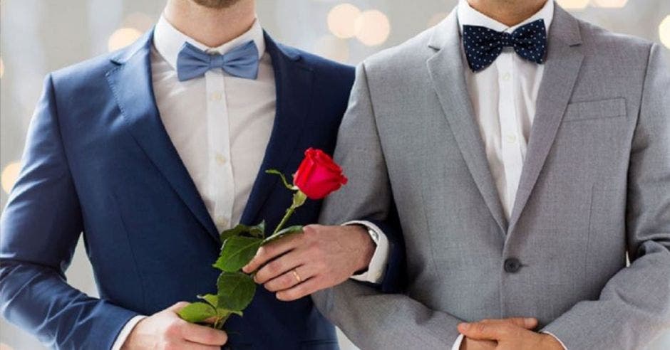 El matrimonio igualitario será legal a partir del 26 de mayo. Archivo/La República.