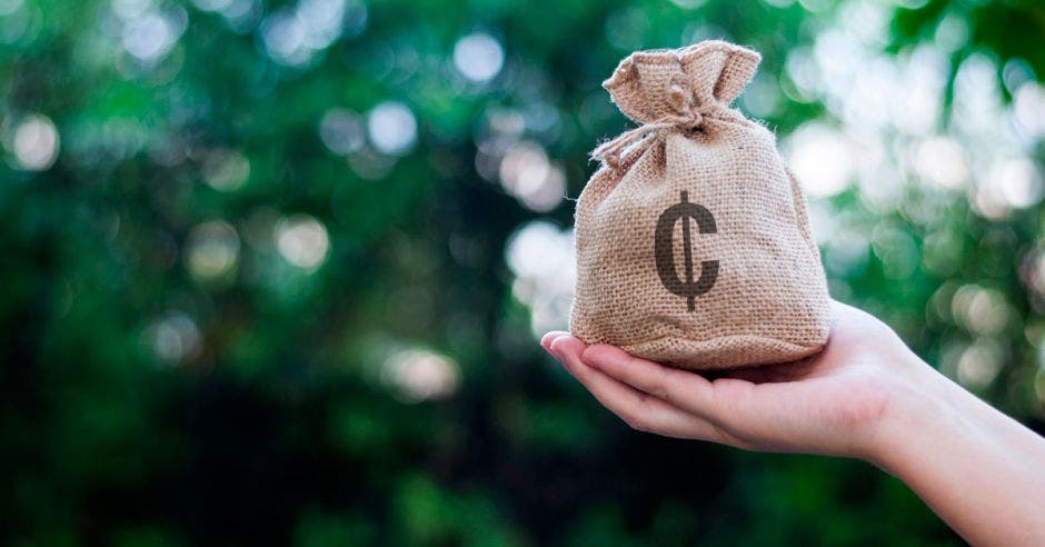 Bolsa con signo de colones con dinero