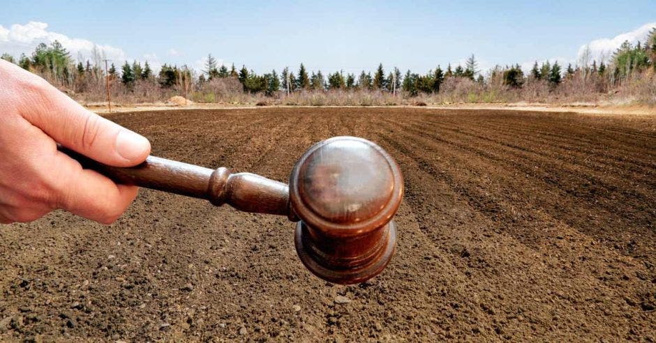 Un mazo de juez en una terreno