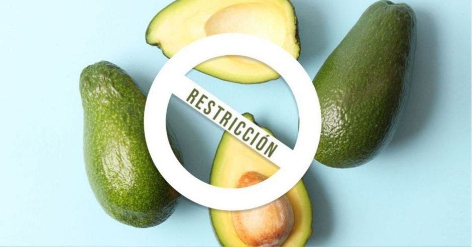 l Estado deberá pagar daños y perjuicios por prohibir las importaciones de aguacate. Archivo/La República.