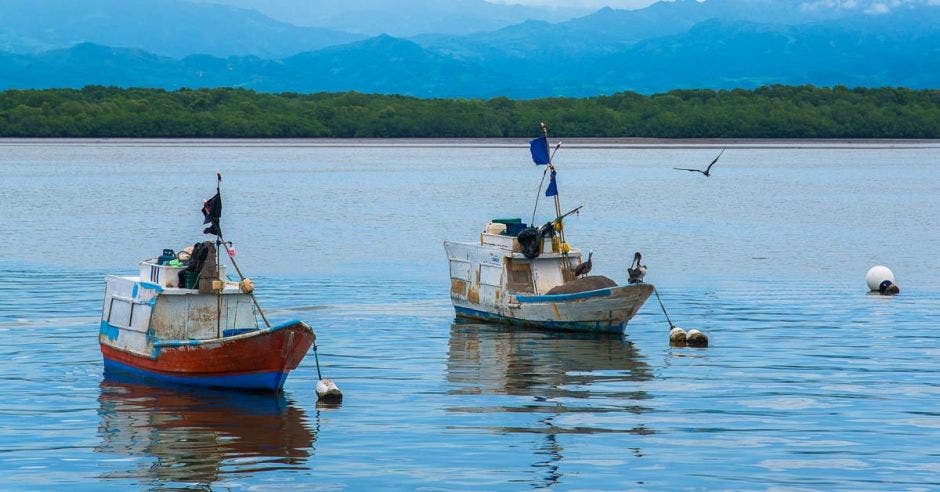 Botes en el mar