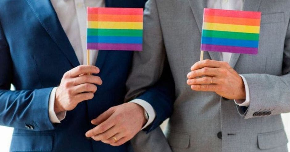 Pareja homosexual de traje, porta en sus manos una bandera LGBT