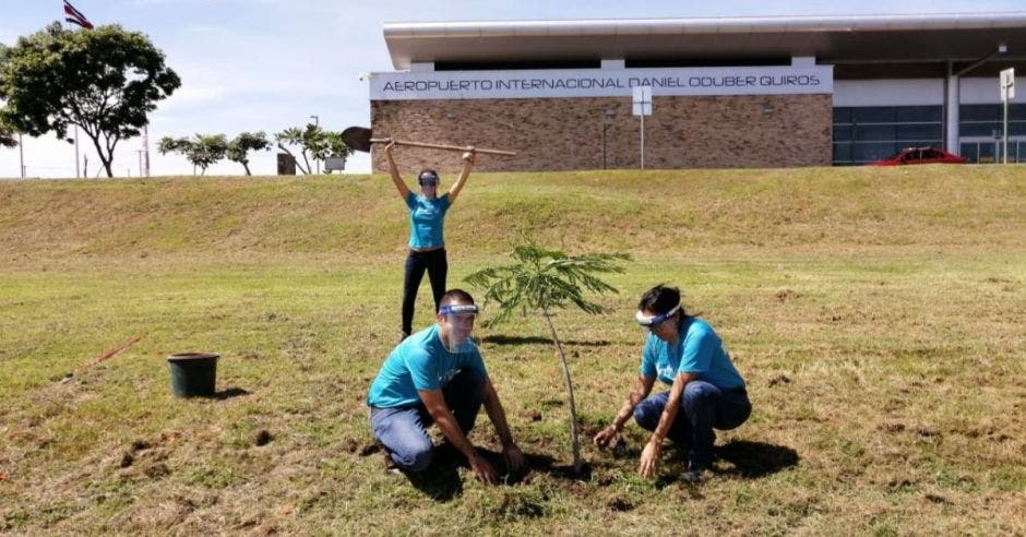 Tres personas siembran un árbol en campo abierto