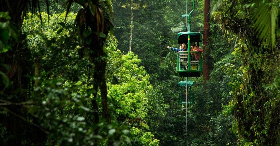 Un grupo de personas recorren las copas de los árboles en un telférico