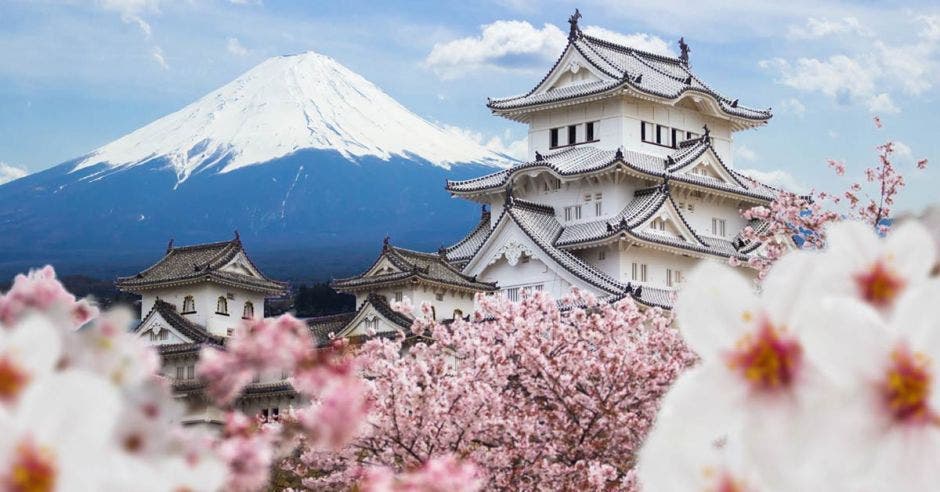 Castillo Himeji y flor de cerezo, con fondo de montaña Fuji, Japón