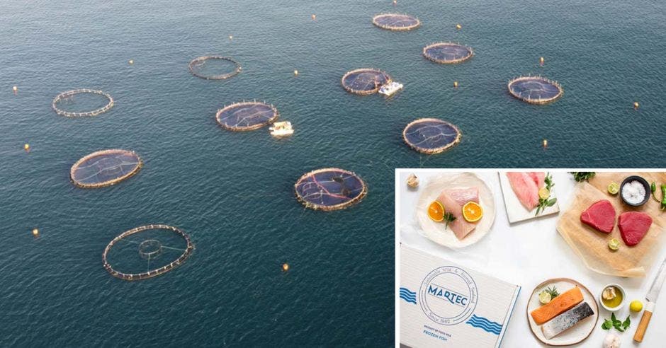 Redes en el mar y una caja con pescado fresco