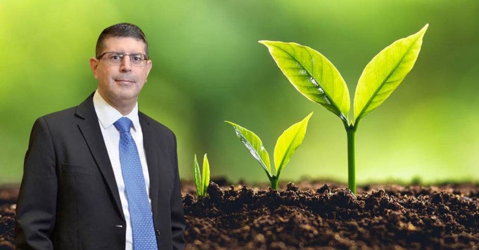 Hombre de traje frente a planta creciendo