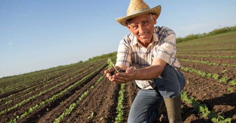 Agricultor