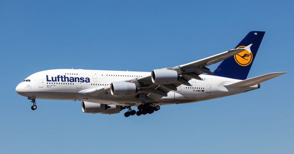 Un airbus blanco con cola azul