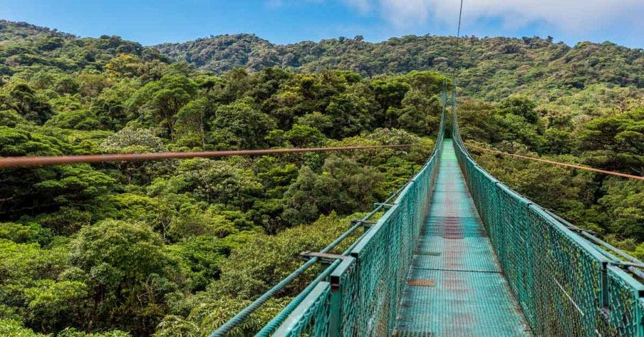 Puente colgante color verde en medio de la naturaleza