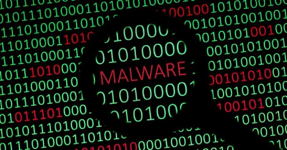 Malware visto con lupa