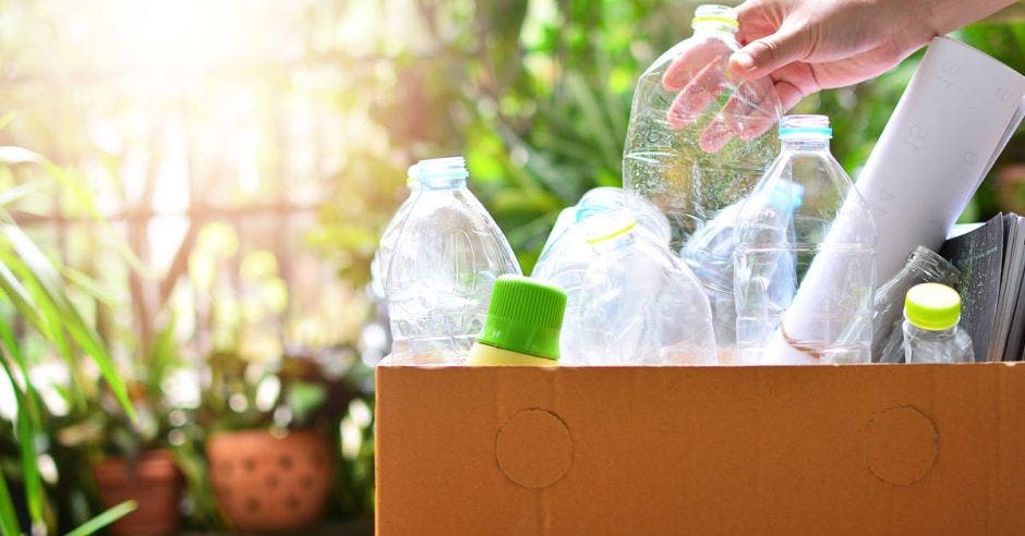 Vemos botellas de plástico vacías en una caja