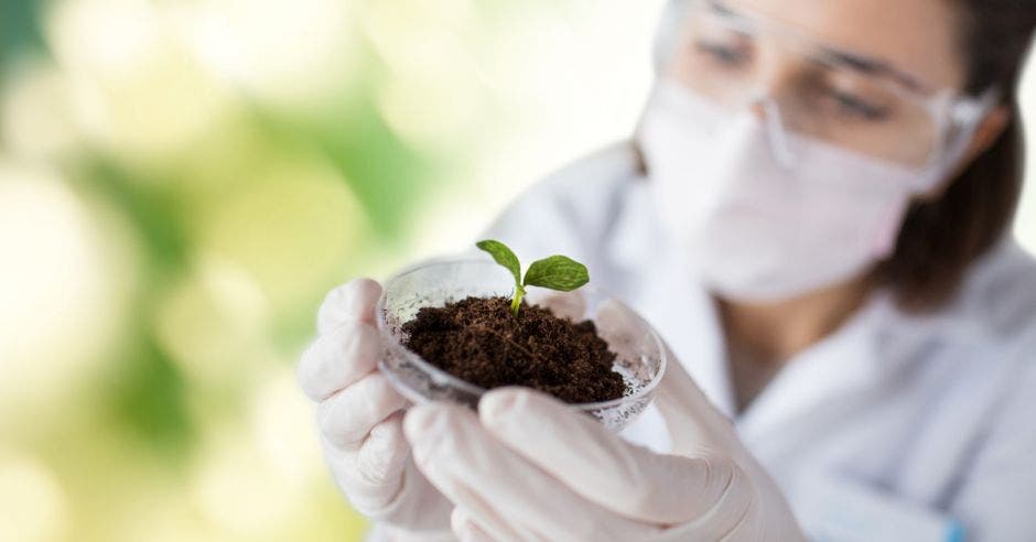 Una mujer con anteojos sostiene una pequeña planta en su mano