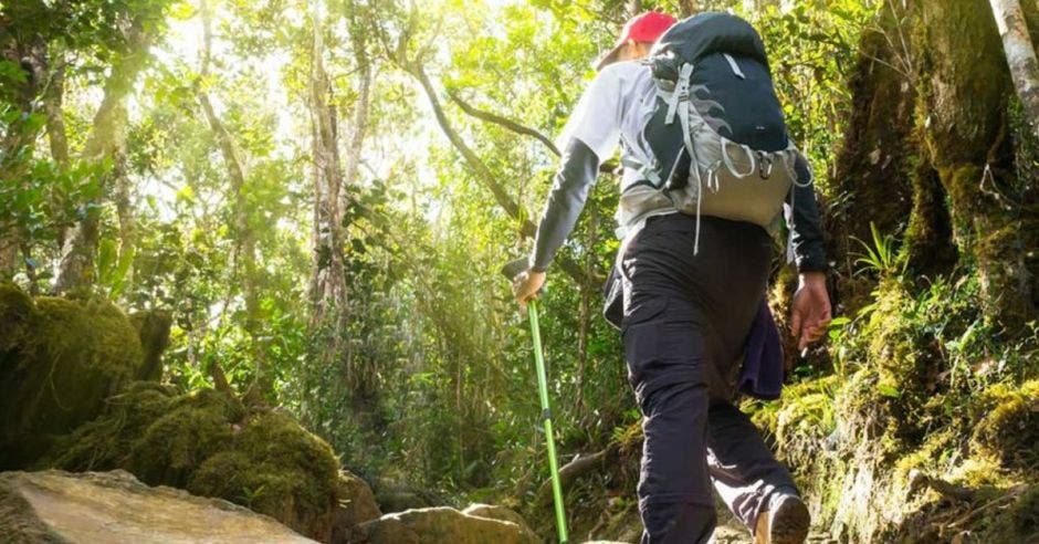 Turista en bosque