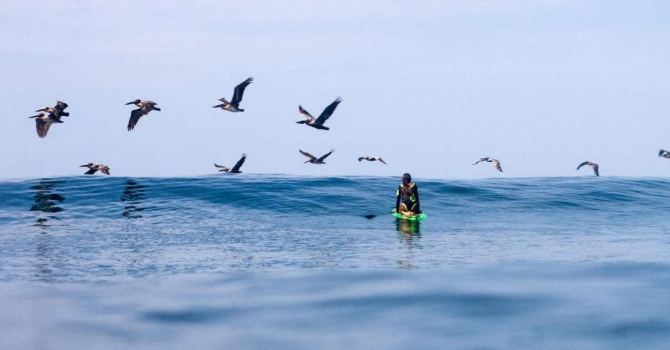 Una mujer flota en su tabla de surf mientras y una decena de pelícanos la sobrevuela