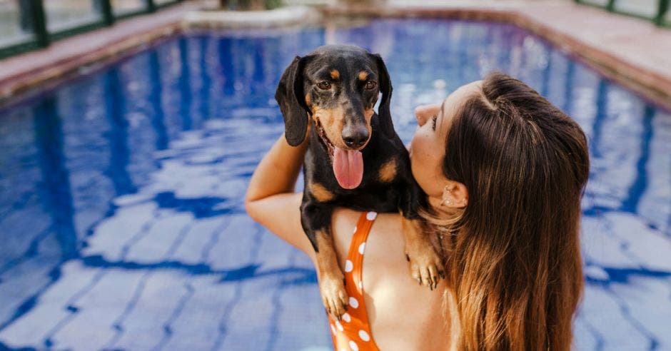 Mujer con perro en la piscina