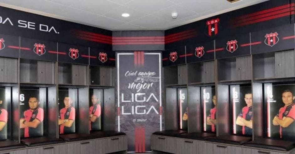 liga camerino