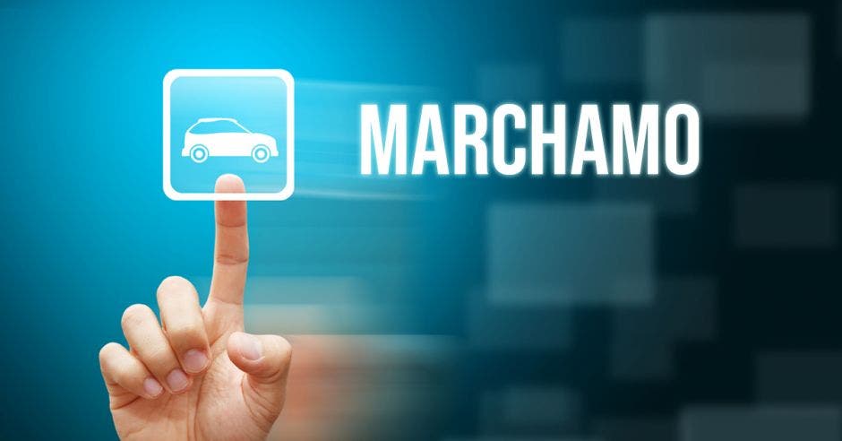 marchamo