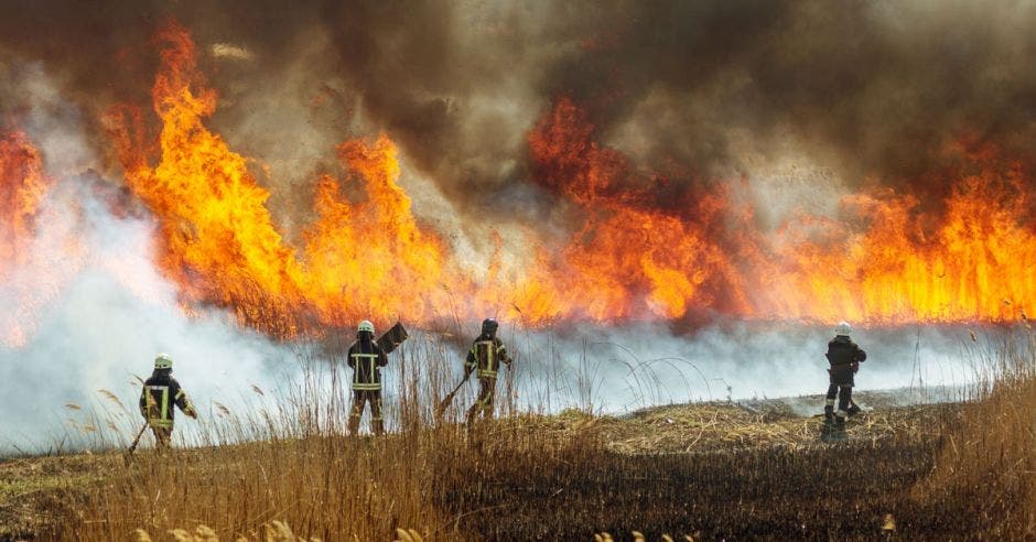 Bomberos luchando por controlar un incendio