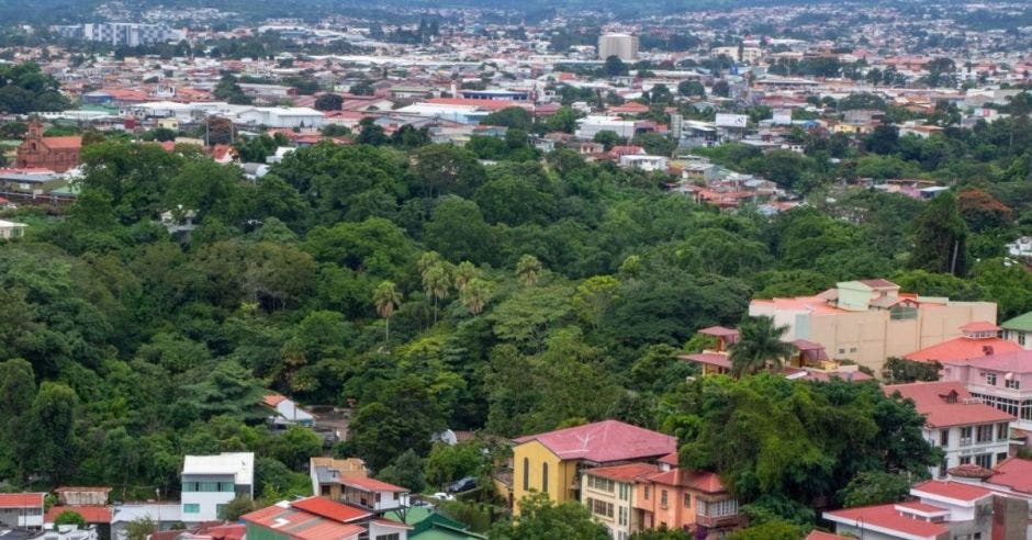 Un conjunto de árboles en medio de la ciudad