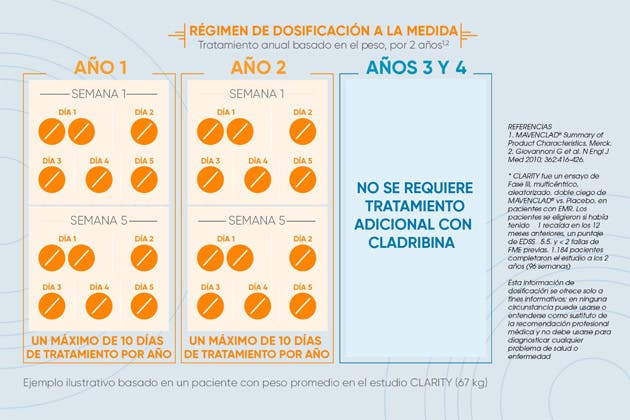 Fases del tratamiento