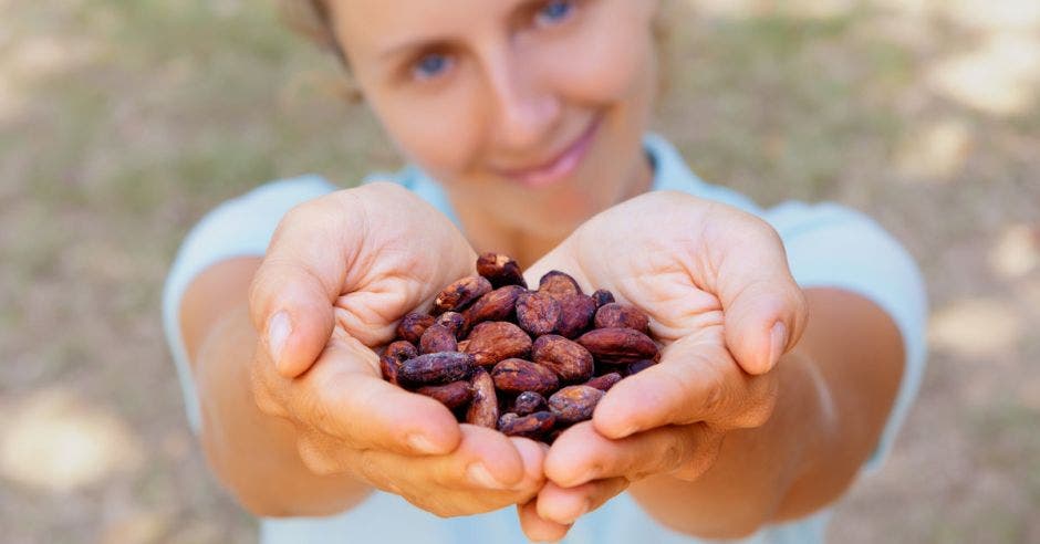 Semillas de cacao