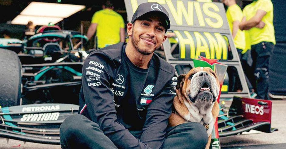 lewis hamilton perro