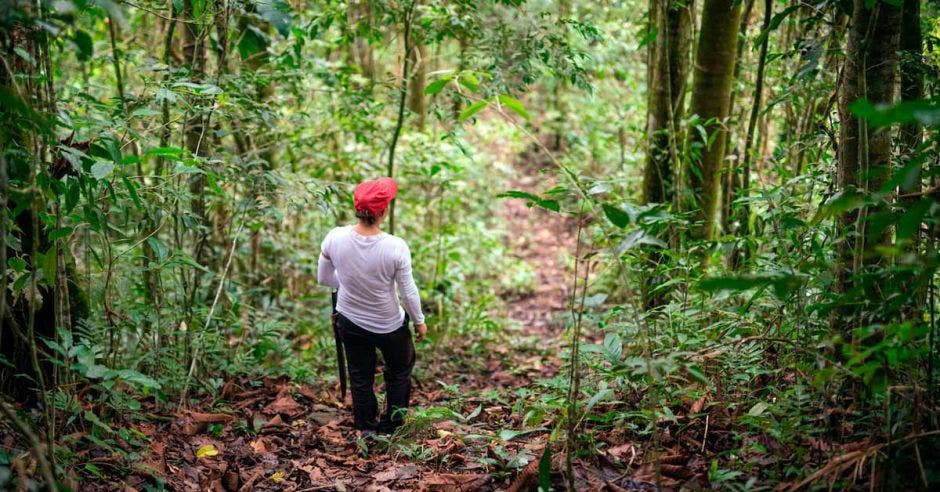 una mujer camina en medio de un bosque