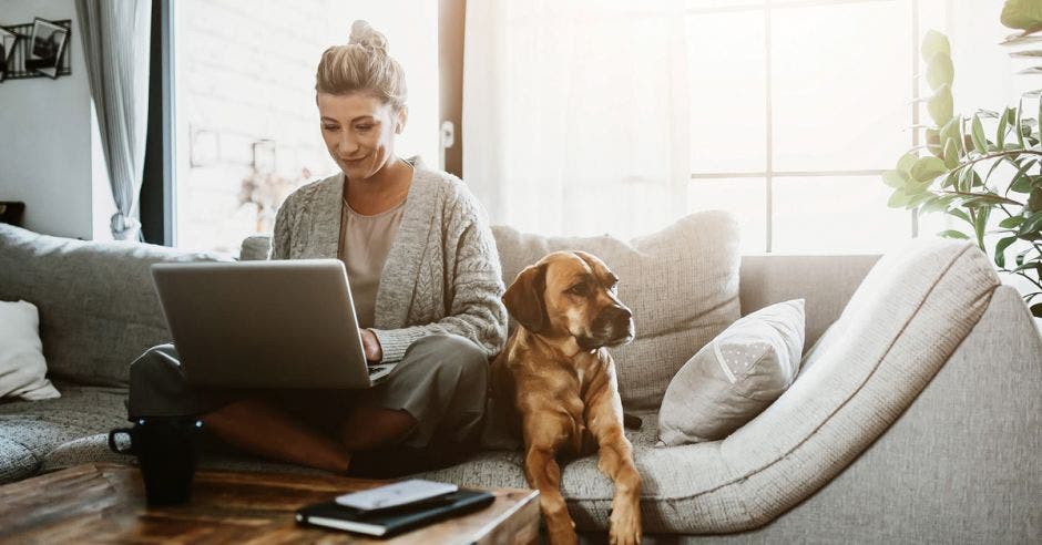 Una mujer teletrabajando desde el sillón con su perro