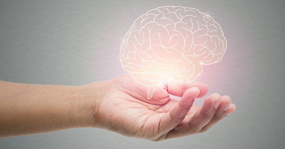 Imagen conceptual de salud mental, con una mano sosteniendo una ilustración de un cerebro