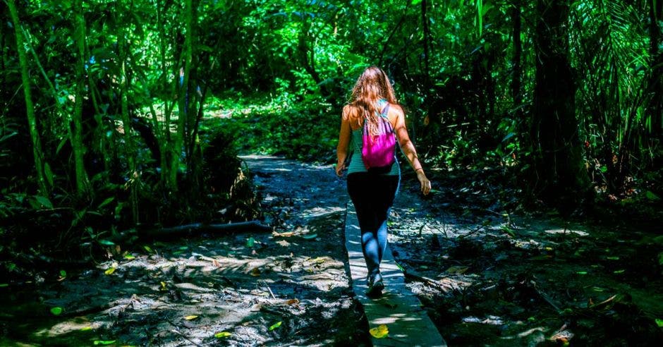 Mujer cruzando un pequeño río sobre una plancha de madera en el Parque Nacional Corcovado, Costa Rica