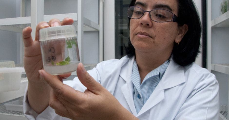 Dra. Rosaura Romero, Presidenta del comité organizador del foro virtual STEM en Costa Rica