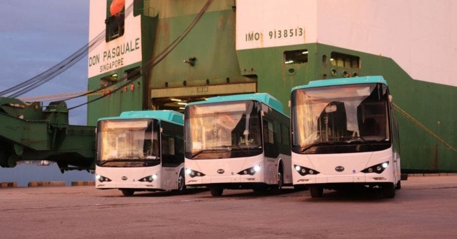 tres buses dispuestos en fila en un puerto