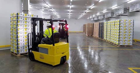 Operarios descargando un contenedor en el nuevo cuarto frío