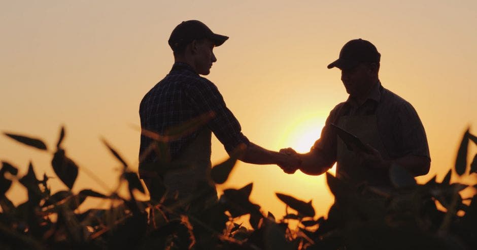 Dos granjeros hablan en el campo, luego dan la mano